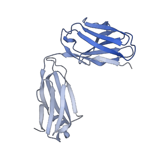 26936_7v05_m_v1-1
Complex of Plasmodium falciparum circumsporozoite protein with 850 Fab