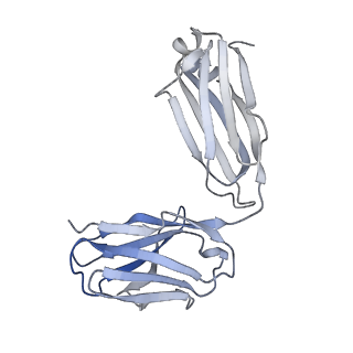 26936_7v05_n_v1-1
Complex of Plasmodium falciparum circumsporozoite protein with 850 Fab