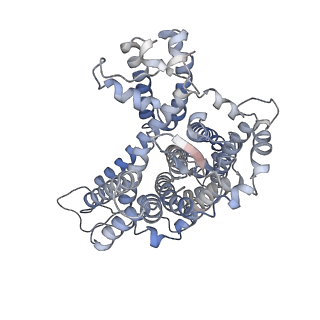 26940_7v07_E_v1-1
Band 3-I-TM local refinement from erythrocyte ankyrin-1 complex consensus reconstruction