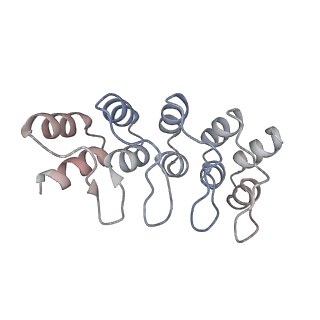 26949_7v0s_J_v1-2
Local refinement of RhAG/CE trimer, class 1 of erythrocyte ankyrin-1 complex