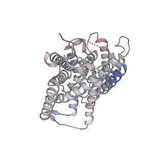 26949_7v0s_K_v1-2
Local refinement of RhAG/CE trimer, class 1 of erythrocyte ankyrin-1 complex