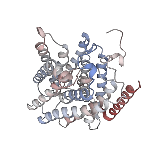 26949_7v0s_L_v1-1
Local refinement of RhAG/CE trimer, class 1 of erythrocyte ankyrin-1 complex