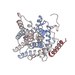 26949_7v0s_L_v1-2
Local refinement of RhAG/CE trimer, class 1 of erythrocyte ankyrin-1 complex