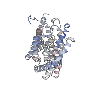 26949_7v0s_Q_v1-2
Local refinement of RhAG/CE trimer, class 1 of erythrocyte ankyrin-1 complex