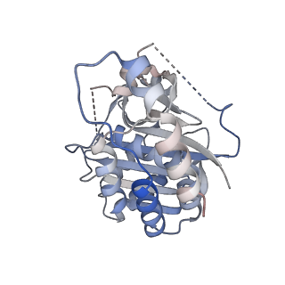 26951_7v0u_D_v1-1
Local refinement of Band 3-II cytoplasmic domains, class 1 of erythrocyte ankyrin-1 complex
