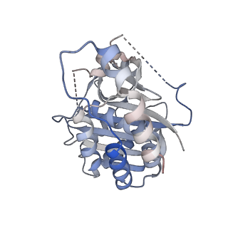 26951_7v0u_D_v1-2
Local refinement of Band 3-II cytoplasmic domains, class 1 of erythrocyte ankyrin-1 complex