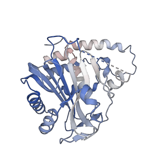 26951_7v0u_F_v1-1
Local refinement of Band 3-II cytoplasmic domains, class 1 of erythrocyte ankyrin-1 complex