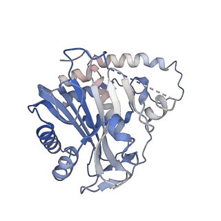 26951_7v0u_F_v1-2
Local refinement of Band 3-II cytoplasmic domains, class 1 of erythrocyte ankyrin-1 complex