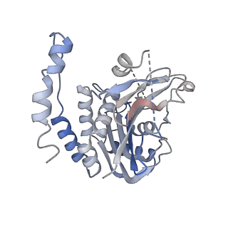 26953_7v0y_C_v1-2
Local refinement of Band 3-III cytoplasmic domains, class 1 of erythrocyte ankyrin-1 complex