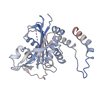 26953_7v0y_E_v1-2
Local refinement of Band 3-III cytoplasmic domains, class 1 of erythrocyte ankyrin-1 complex