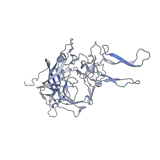 21004_6v10_1_v1-3
genome-containing AAV8 particles