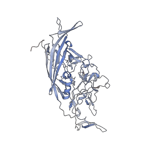 21004_6v10_2_v1-3
genome-containing AAV8 particles