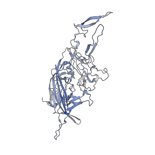 21004_6v10_4_v1-3
genome-containing AAV8 particles