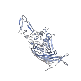 21004_6v10_5_v1-3
genome-containing AAV8 particles