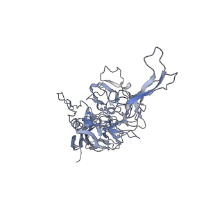 21004_6v10_6_v1-3
genome-containing AAV8 particles