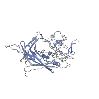 21004_6v10_7_v1-3
genome-containing AAV8 particles