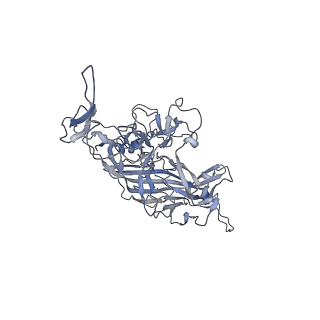 21004_6v10_8_v1-3
genome-containing AAV8 particles