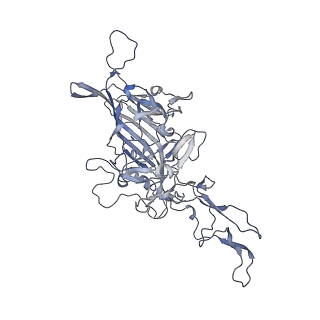 21004_6v10_A_v1-3
genome-containing AAV8 particles