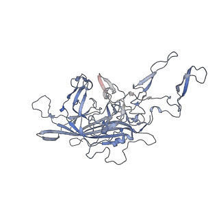 21004_6v10_B_v1-3
genome-containing AAV8 particles