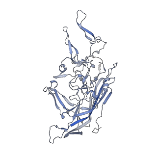 21004_6v10_C_v1-3
genome-containing AAV8 particles