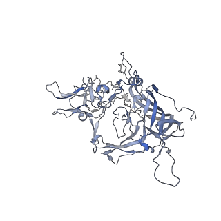 21004_6v10_D_v1-3
genome-containing AAV8 particles