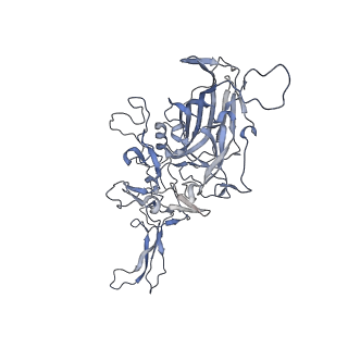 21004_6v10_E_v1-3
genome-containing AAV8 particles