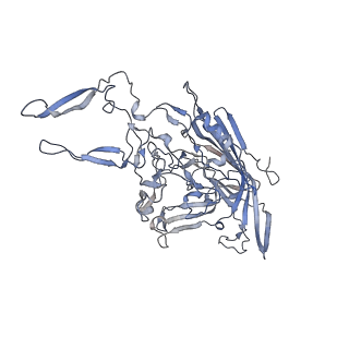 21004_6v10_F_v1-3
genome-containing AAV8 particles