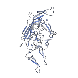 21004_6v10_H_v1-3
genome-containing AAV8 particles