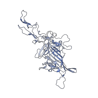 21004_6v10_J_v1-3
genome-containing AAV8 particles