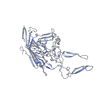 21004_6v10_K_v1-3
genome-containing AAV8 particles