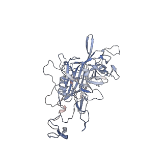 21004_6v10_L_v1-3
genome-containing AAV8 particles