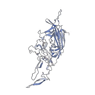 21004_6v10_N_v1-3
genome-containing AAV8 particles