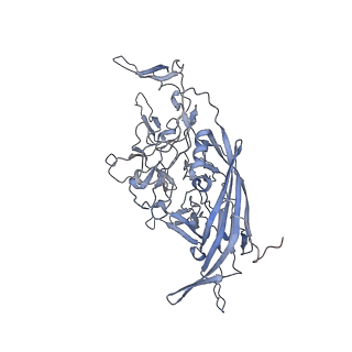 21004_6v10_O_v1-3
genome-containing AAV8 particles