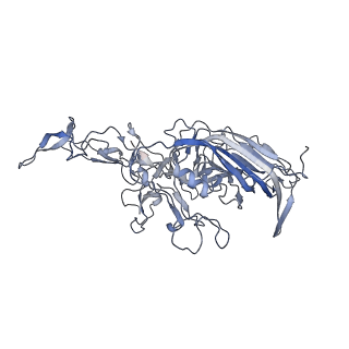 21004_6v10_T_v1-3
genome-containing AAV8 particles