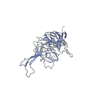 21004_6v10_U_v1-3
genome-containing AAV8 particles