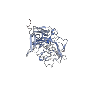 21004_6v10_V_v1-3
genome-containing AAV8 particles