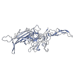 21004_6v10_W_v1-3
genome-containing AAV8 particles