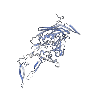 21004_6v10_X_v1-3
genome-containing AAV8 particles