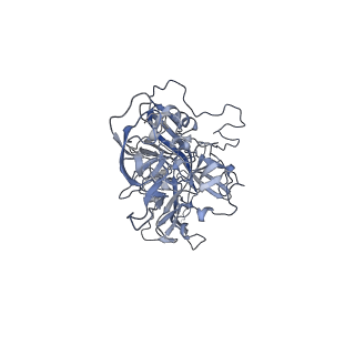 21004_6v10_Y_v1-3
genome-containing AAV8 particles