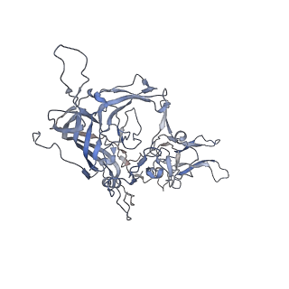 21004_6v10_Z_v1-3
genome-containing AAV8 particles