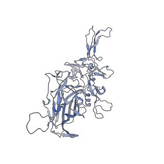 21004_6v10_a_v1-3
genome-containing AAV8 particles