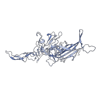 21004_6v10_b_v1-3
genome-containing AAV8 particles