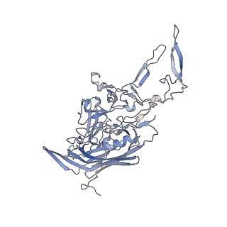 21004_6v10_c_v1-3
genome-containing AAV8 particles