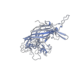 21004_6v10_f_v1-3
genome-containing AAV8 particles