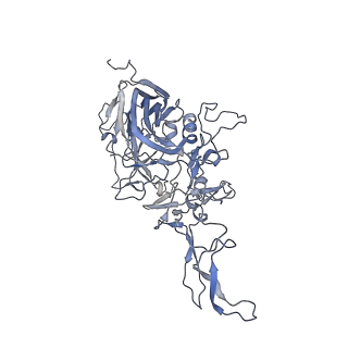 21004_6v10_g_v1-3
genome-containing AAV8 particles