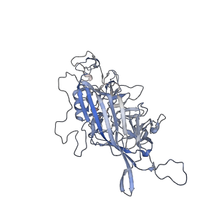 21004_6v10_i_v1-3
genome-containing AAV8 particles