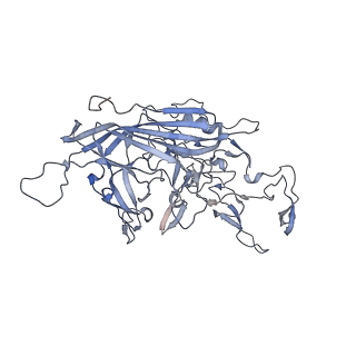 21004_6v10_j_v1-3
genome-containing AAV8 particles