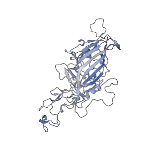 21004_6v10_k_v1-3
genome-containing AAV8 particles