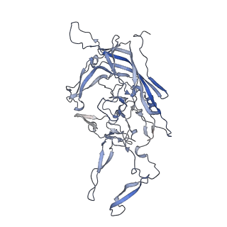 21004_6v10_l_v1-3
genome-containing AAV8 particles