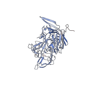 21004_6v10_m_v1-3
genome-containing AAV8 particles